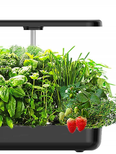 Hydroponics Growing System with Led Grow Light